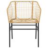 vidaXL 9-delige Tuinset poly rattan glas bruin