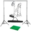vidaXL Fotostudioset met verlichtingsset en achtergrond
