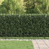 vidaXL Spike Fence Zwart 200 x 130 cm Gepoedercoat staal