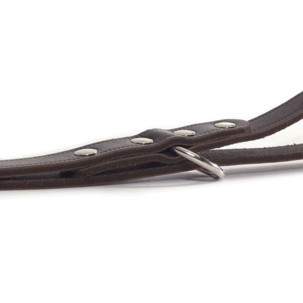 Beeztees Trainingsriem bruin 200x1,2 cm leer 736401