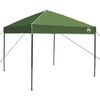 vidaXL Camping Tent Set met dak met opslag 2 pcs Groen Taffeta en Stof