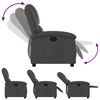 vidaXL Relaxfauteuil Grijs Echt Leer
