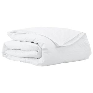 vidaXL 2-in-1 Dekbed Wit 200 x 200 cm Veren