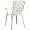 vidaXL Tuinstoelen 2 st gietaluminium wit