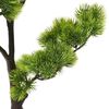 Miniatuurafbeelding van het product 5 van 7