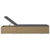 vidaXL Ligbed poly rattan bruin en donkergrijs