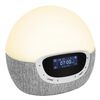 Lumie Wake-up light Bodyclock Shine 300 wit en grijs