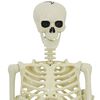 vidaXL Halloween Decoratie Skelet 2 pcs Wit Polypropyleen