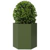 Miniatuurafbeelding van het product 3 van 10