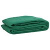 vidaXL Aanhangwagennet 3,5x5 m HDPE groen