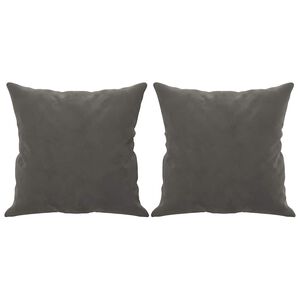 vidaXL Sierkussens 2 st 40x40 cm fluweel donkergrijs