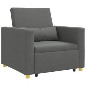 vidaXL Uittrekbaar slaapbank eenpersoons Donkergrijs 90 x 165 x 87 cm