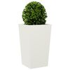 Miniatuurafbeelding van het product 4 van 12