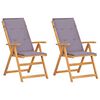 vidaXL Verstelbare klapstoelen, 2 stuks, bruin, massief acaciahout