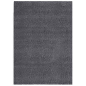 vidaXL Vloerkleed wasbaar korte pool anti-slip 160x230 cm antraciet