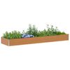 Miniatuurafbeelding van het product 3 van 13