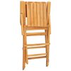 vidaXL Klapstoelen 4 stuks 55x61x90 cm Massief teakhout
