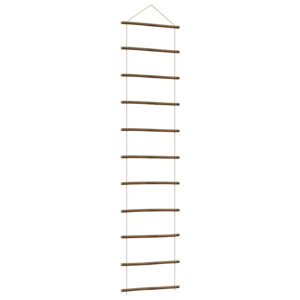 vidaXL Wanddecoratie laddervormig 50x200 cm naturel tak