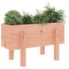 vidaXL Plantenbak 62x30x38 cm massief douglashout
