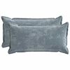 vidaXL Kussensloop 2 st HOUTEN Lichtblauw 40 x 80 cm Chenille Stof