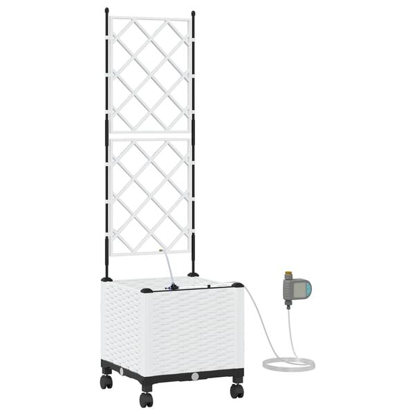 Productafbeelding 1 van 7
