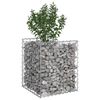 vidaXL Gabion Verhoogd Bed Zilver 50 x 50 x 60 cm Gegalvaniseerd staal