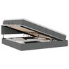 vidaXL Opbergbed met LED met matras Donkergrijs 200 x 200 cm Stof