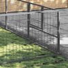 vidaXL Hondenkennel 28 m&sup2; staal zilverkleurig