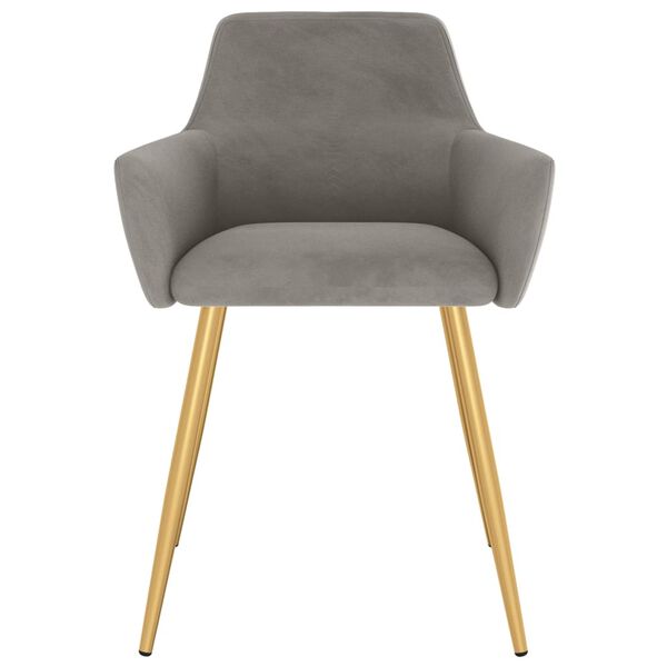 vidaXL Eetkamerstoelen 2 st fluweel lichtgrijs