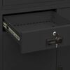 Miniatuurafbeelding van het product 9 van 12