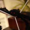 Miniatuurafbeelding van het product 3 van 11