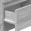 vidaXL Nachtkastjes 2 st met 2 lades 40x33x60 cm grijs sonoma eiken