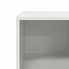 vidaXL Salontafel 101,5x50x43,5 cm koudgewalst staal wit