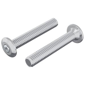 vidaXL Vergrendelingsschroef 2 pcs Zilver M6 x 35 mm Staal