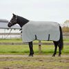 vidaXL Paardendeken Volledig Lichtgrijs en Roze 75 cm Polyester