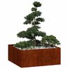 Miniatuurafbeelding van het product 3 van 10