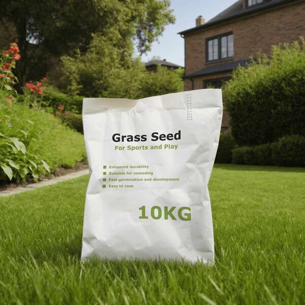 vidaXL Graszaad voor sport en spel 10 kg