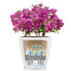 LECHUZA Plantenbak CLASSICO Color 21 ALL-IN-ONE wit