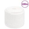 vidaXL Boottouw 18 mm 100 m polypropyleen volwit