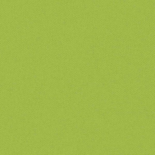 vidaXL Buitenkussens 60x40 cm appeltjesgroen 2 st