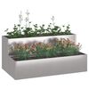 Miniatuurafbeelding van het product 3 van 12