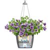 LECHUZA Plantenbak NIDO Cottage 35 ALL-IN-ONE hangend grafietzwart