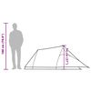 vidaXL Tunneltent 2-persoons waterdicht groen
