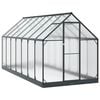 vidaXL Tuin Serre met de deur Antracietkleurig 183,5 x 423,5 x 207 cm