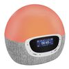 Lumie Wake-up light Bodyclock Shine 300 wit en grijs