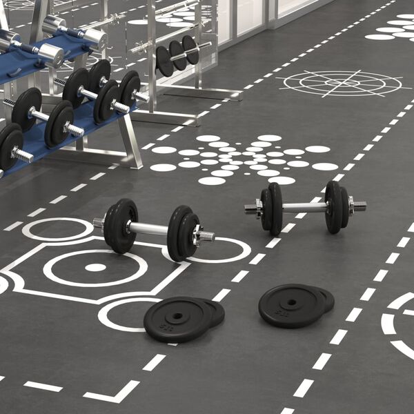 vidaXL Halter met gewichten 40 kg gietijzer en verchroomd staal