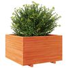 vidaXL Plantenbak 80x80x49,5 cm massief grenenhout wasbruin