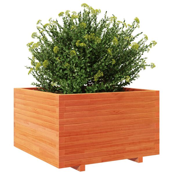 vidaXL Plantenbak 80x80x49,5 cm massief grenenhout wasbruin