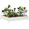 Miniatuurafbeelding van het product 3 van 10