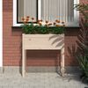 vidaXL Plantenbak 78x40x81 cm massief grenenhout